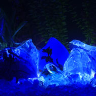 Aquarium Glass Gravel, Pebbles and Rocks are Colorful, Translucent