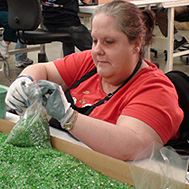 Shares, Inc. employees sorting glass